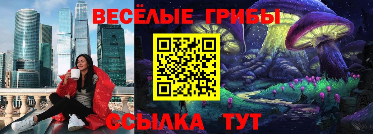 Галлюциногенные грибы мухоморы  Вход с VPN  Камень-на-Оби 