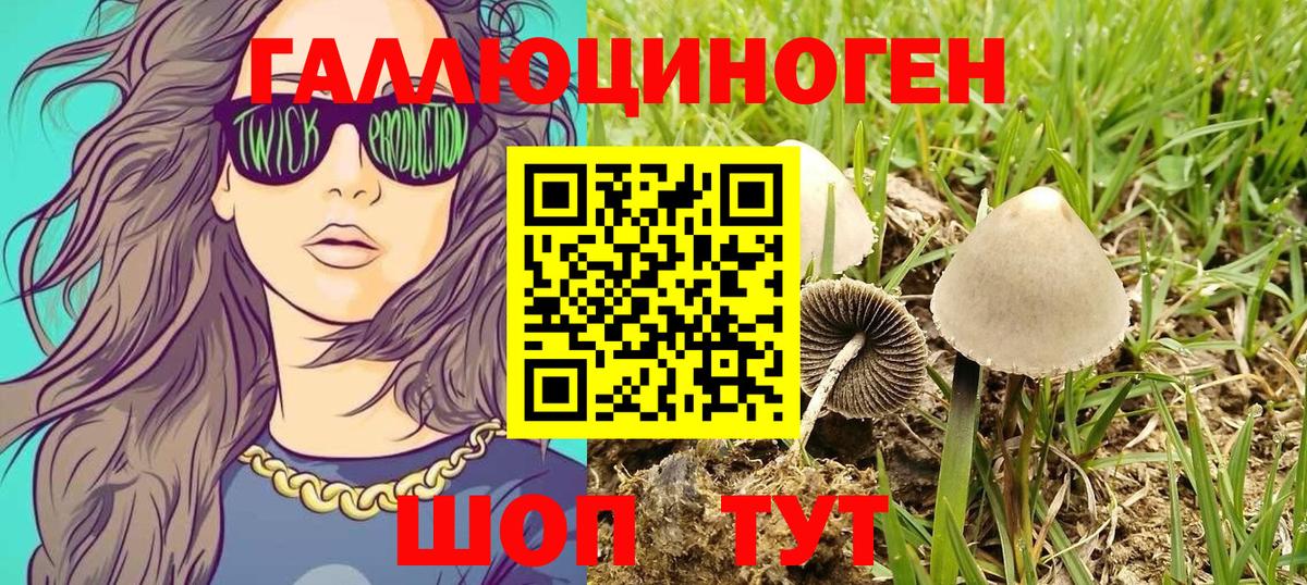 Псилоцибиновые грибы ЛСД Камень-на-Оби