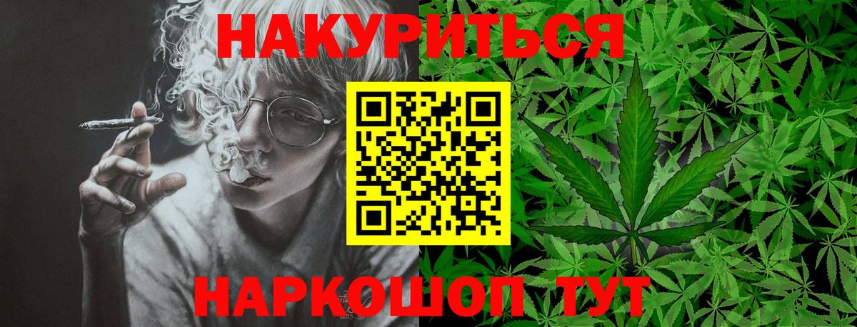 Камень-на-Оби  Бошки марихуана план  Вход с VPN  Бошки марихуана сатива  МАРИХУАНА сатива 